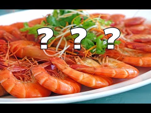 lyteCache.php?origThumbUrl=https%3A%2F%2Fi.ytimg.com%2Fvi%2Fz0wDan26Zjo%2F0 Rodzaje krewetek w Hiszpanii. Jak je rozróżnić?