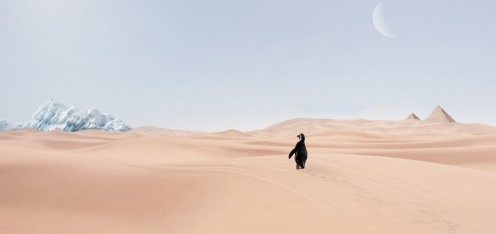 szok kulturowy jak sobie z nim radzic