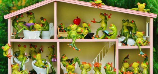 sasiedzi w hiszpanii