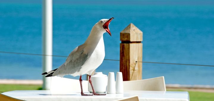 Śmieszne nazwy miejscowości w Hiszpanii