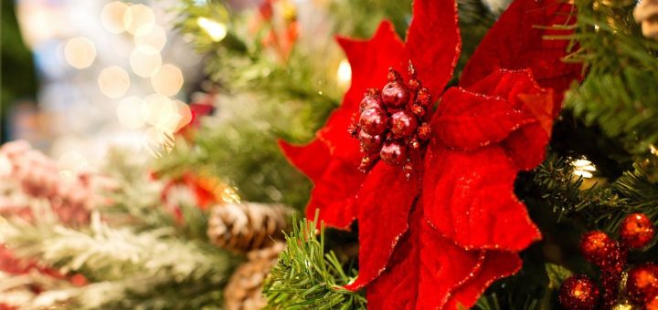 gdzie sa najlepsze jarmarki bozonarodzeniowe w hiszpanii